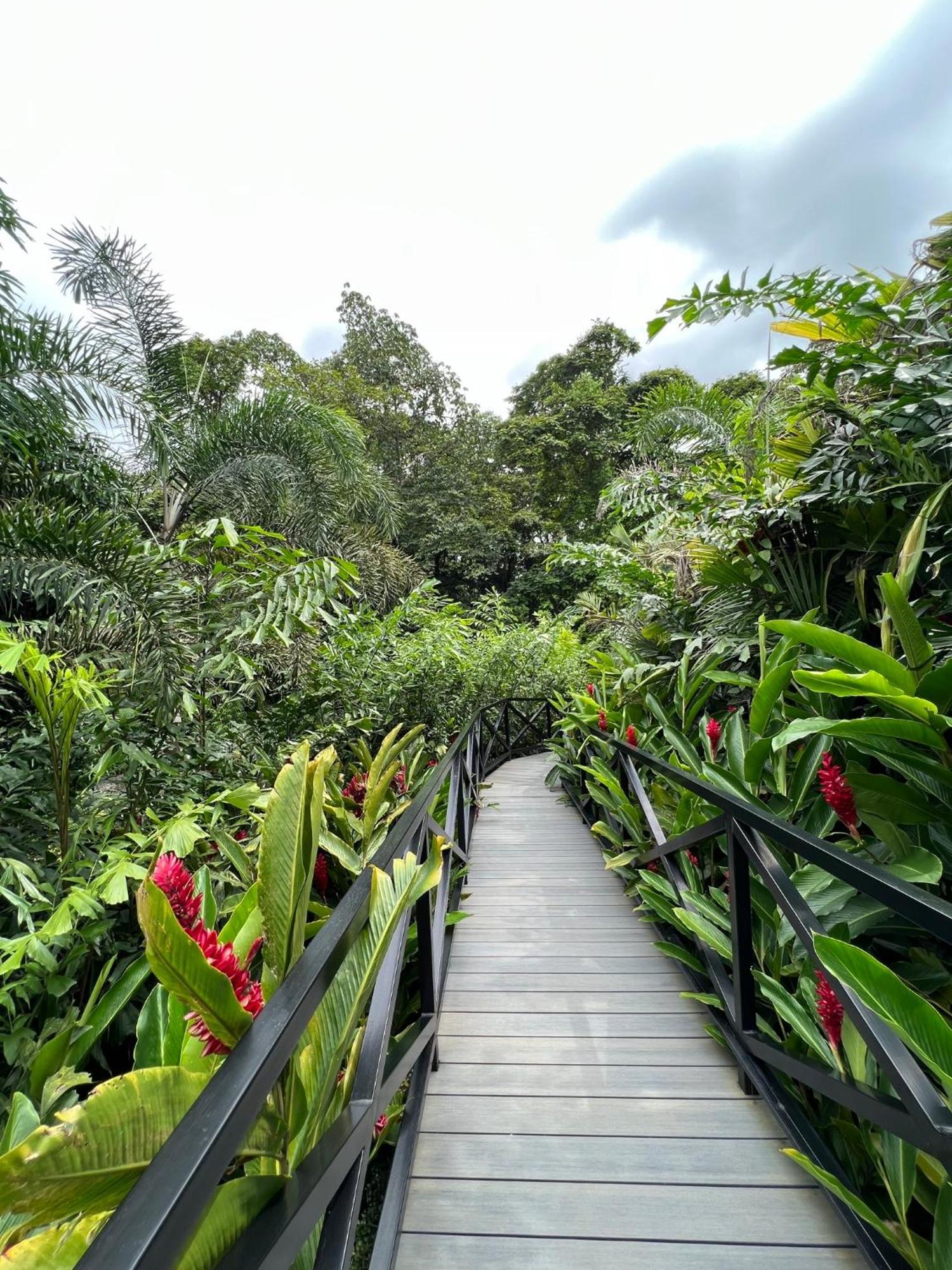 Hotel Boutique Casa Del Rio La Fortuna 외부 사진